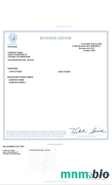 USA Washington Business license Word i szablon PDF